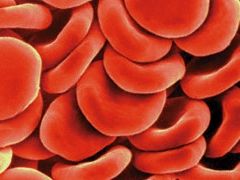 Hemoglobina