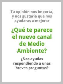 Participa en la encuesta