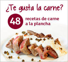 48 recetas de carne a la plancha 