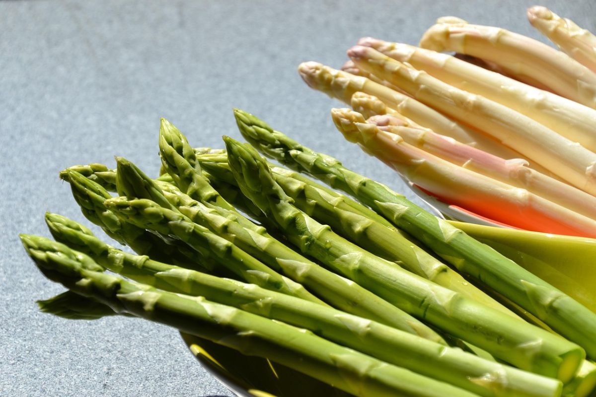recetas con espárragos blancos y trigueros