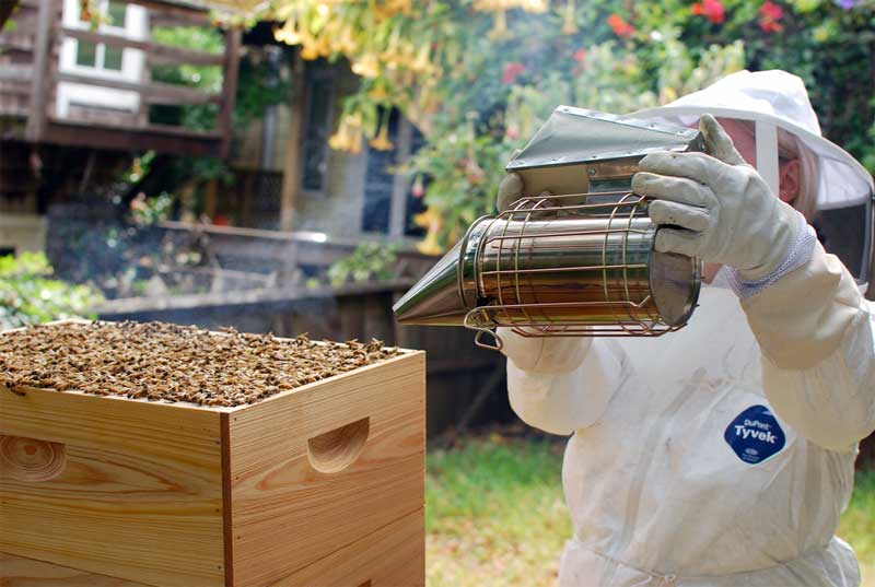 Colmenas urbanas: 5 diseños para ponérselo más fácil a las abejas