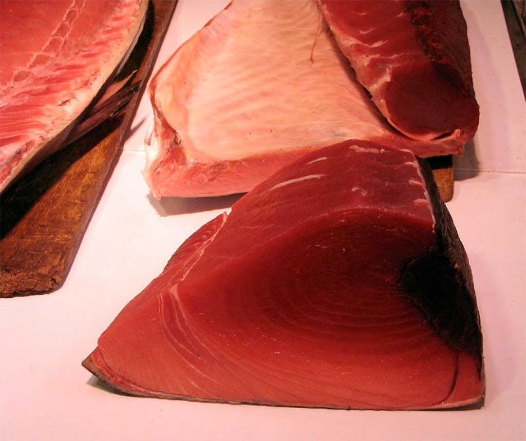 Img atun mercurio hd