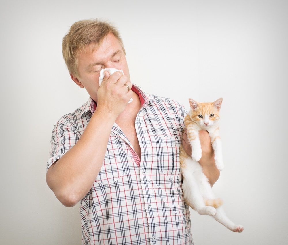 Tienes alergia a los gatos? que funcionan | Consumer