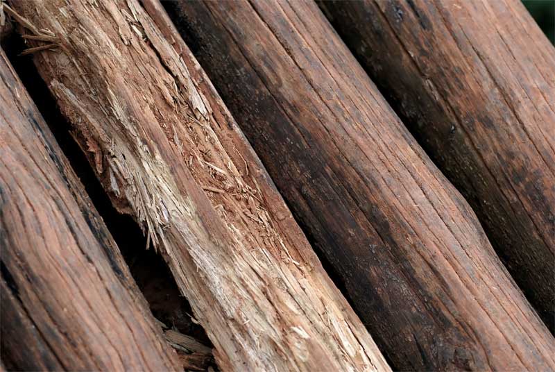Revestimiento de madera en interiores - Carpintería Fusta