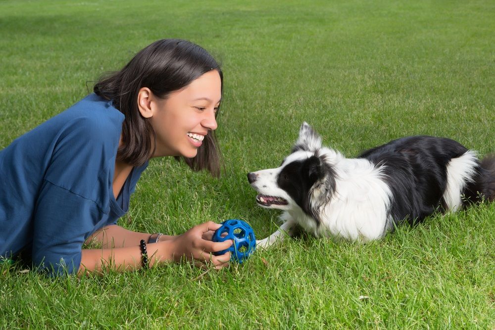 12 formas de decirle al perro que quieres jugar, ¡y que te entienda! |  Consumer