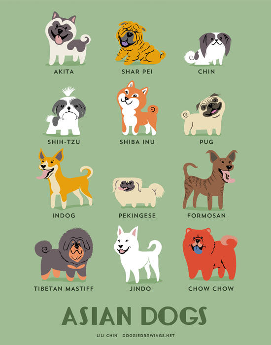 Cuántas razas perros en el mundo? | Consumer