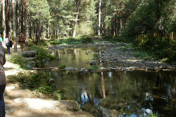 Los 19 mejores bosques de España | Consumer