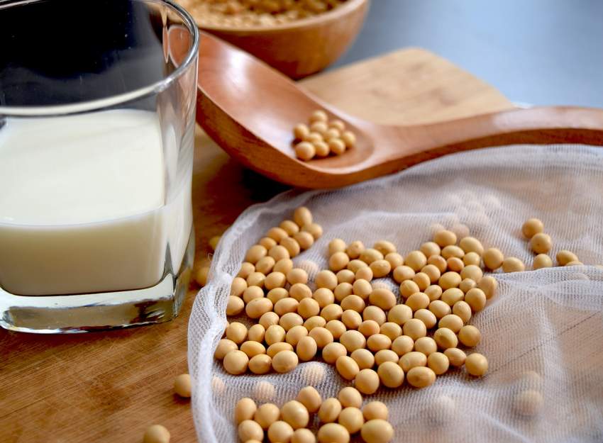 bebida soja leche