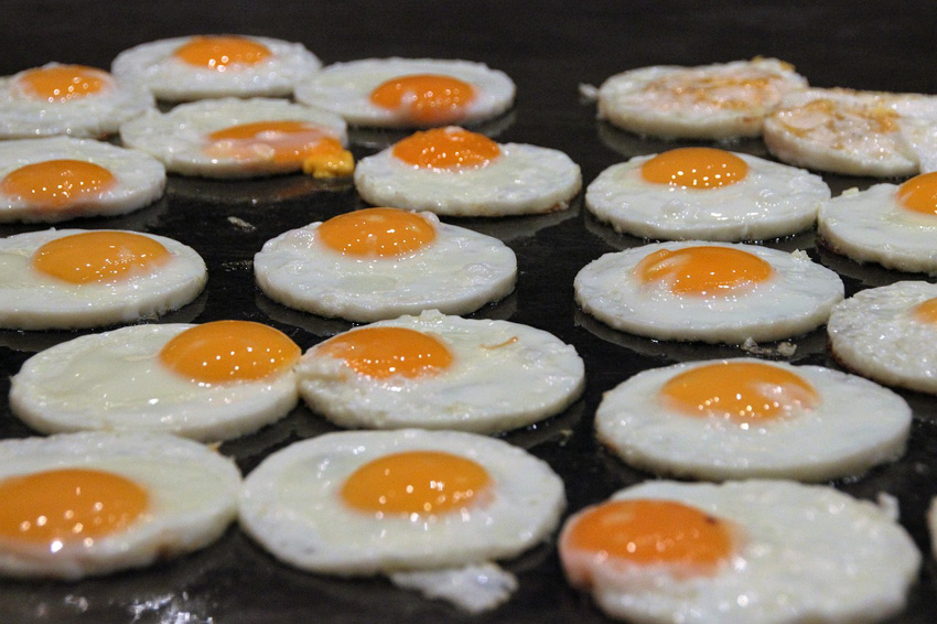 Loza de barro Orbita página Huevos fritos congelados y más dudas alimentarias | Consumer