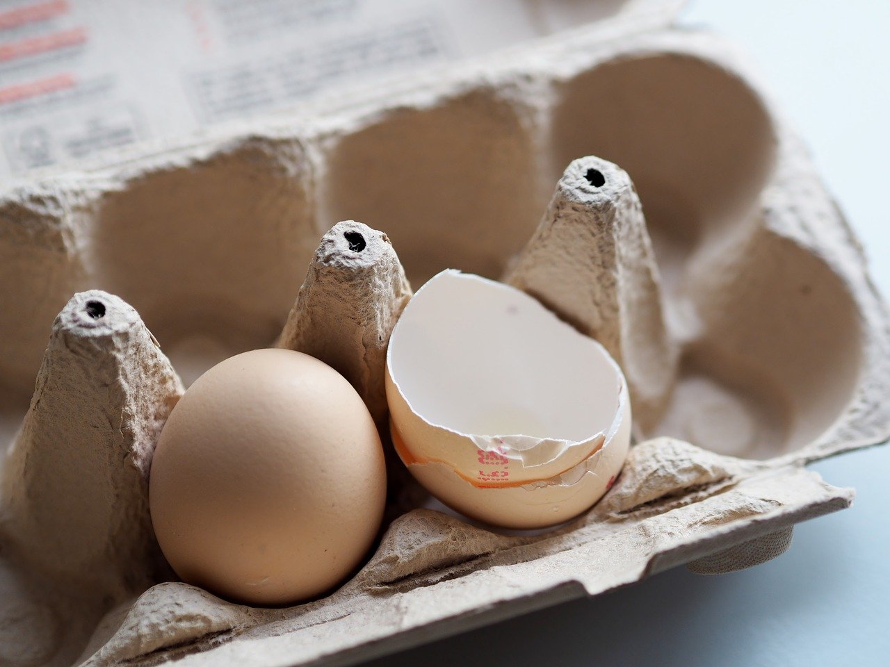 huevos y salmonella