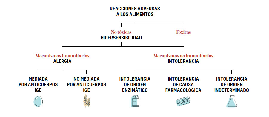 Tipos de reacciones a alimentos, esquema