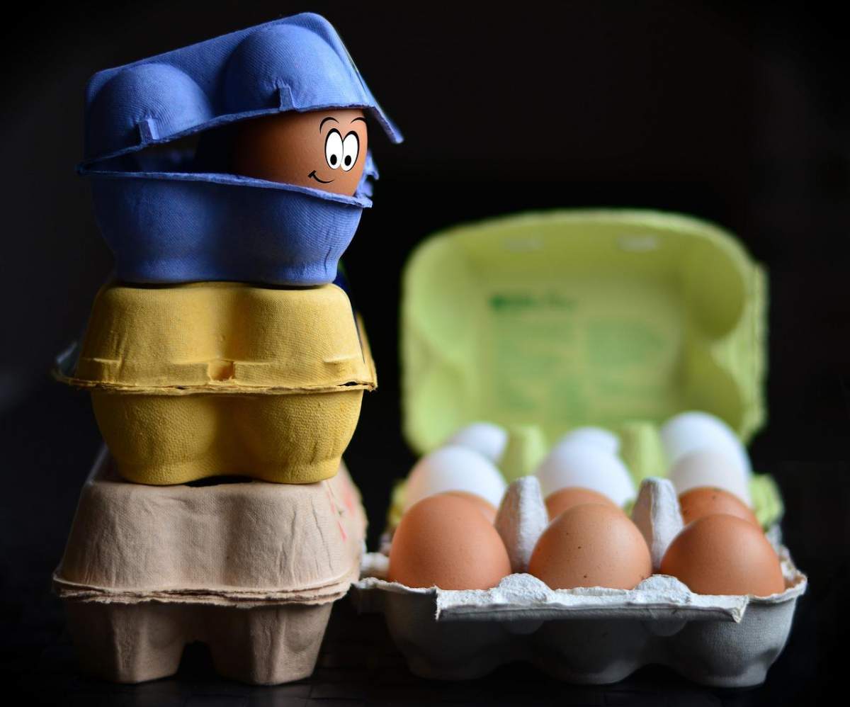 envases inteligentes huevos