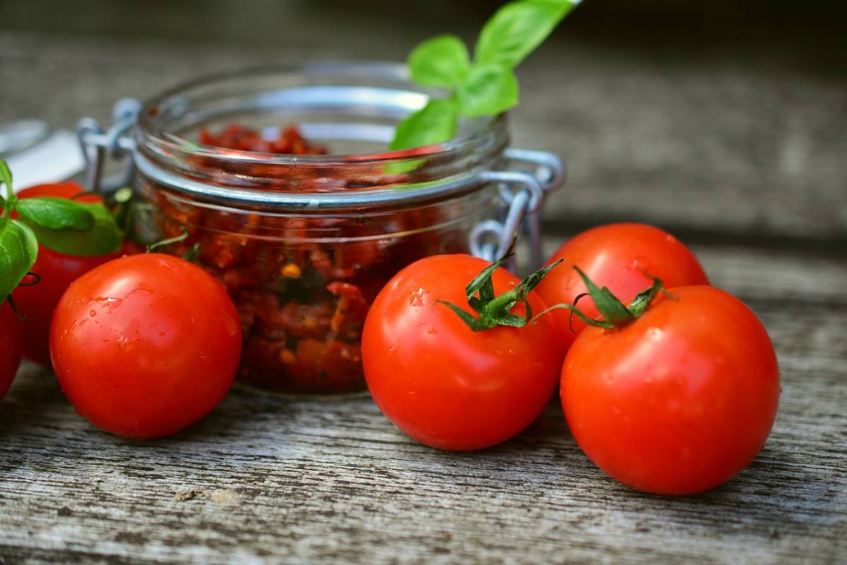 tomates para deshidratar