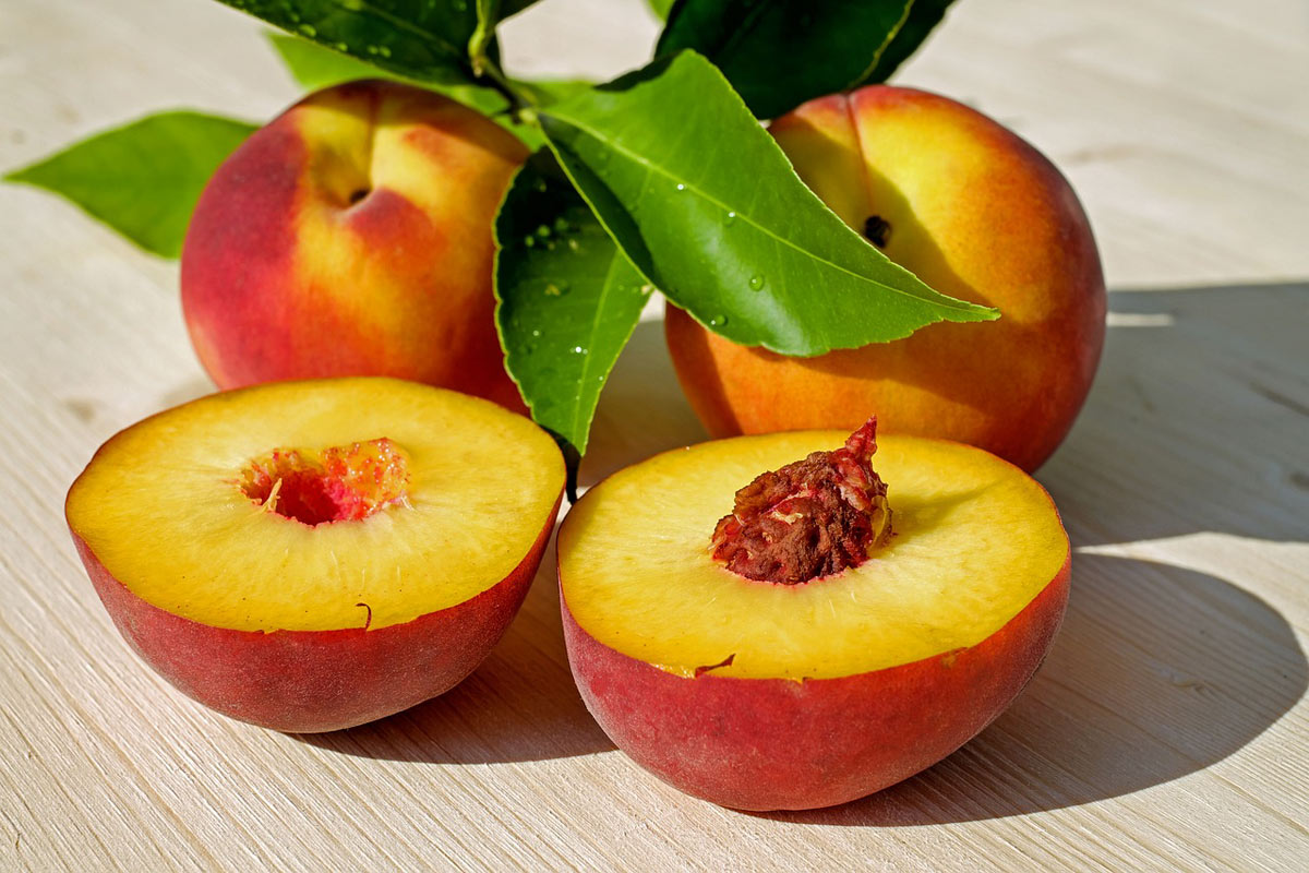 detener maduración de frutas climatéricas