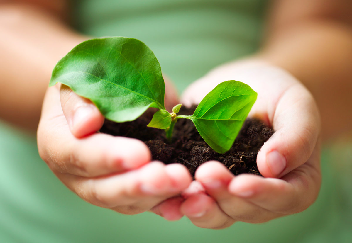 impacto medio ambiente más población mundial