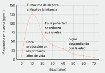 hormona melatonina edad