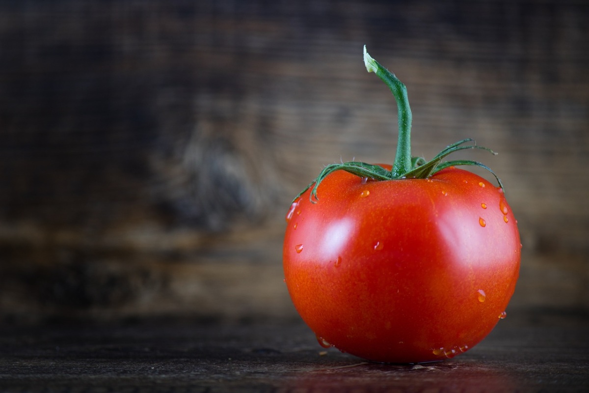 tomate con menos nutrientes