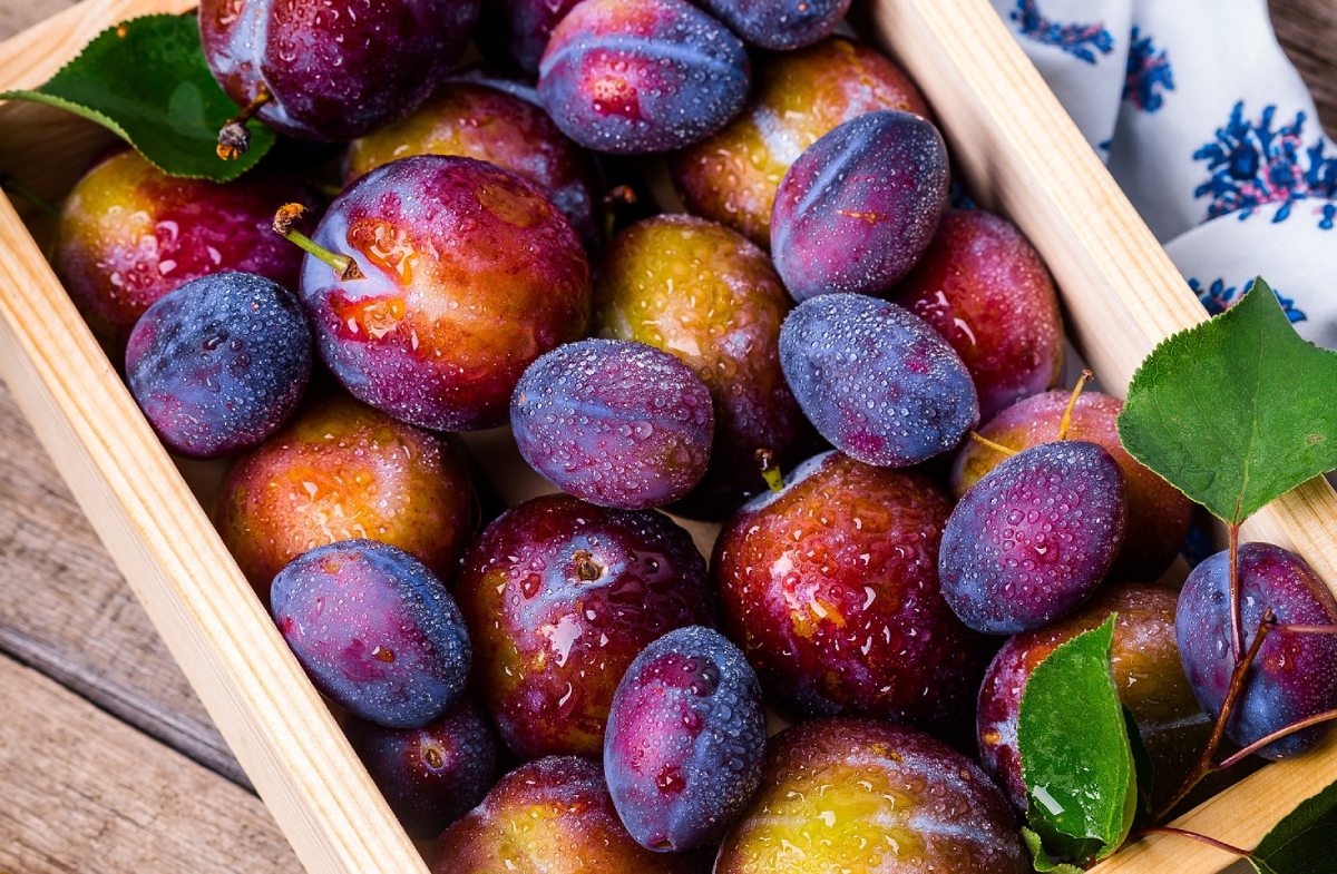 recetas con ciruelas de temporada