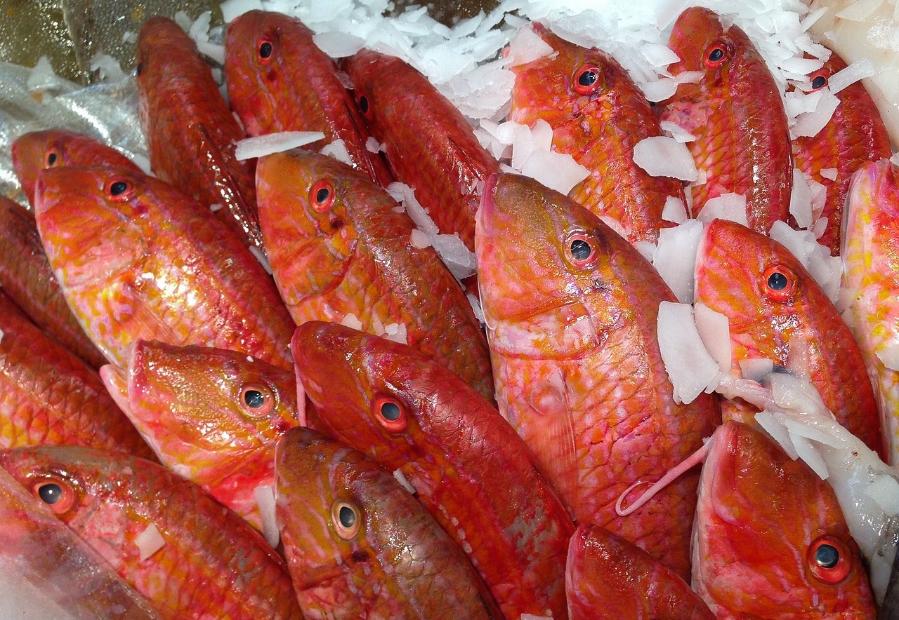 salmonete propiedades nutricionales