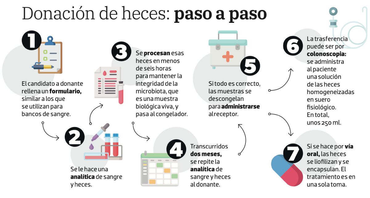 donación de heces paso a paso