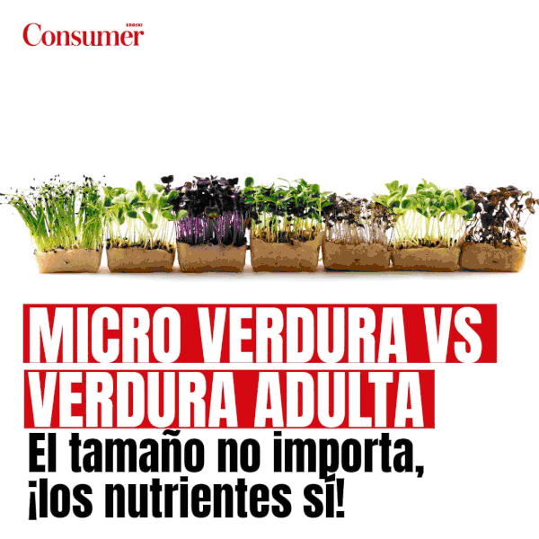 diferencias entre microverduras y verduras infografía