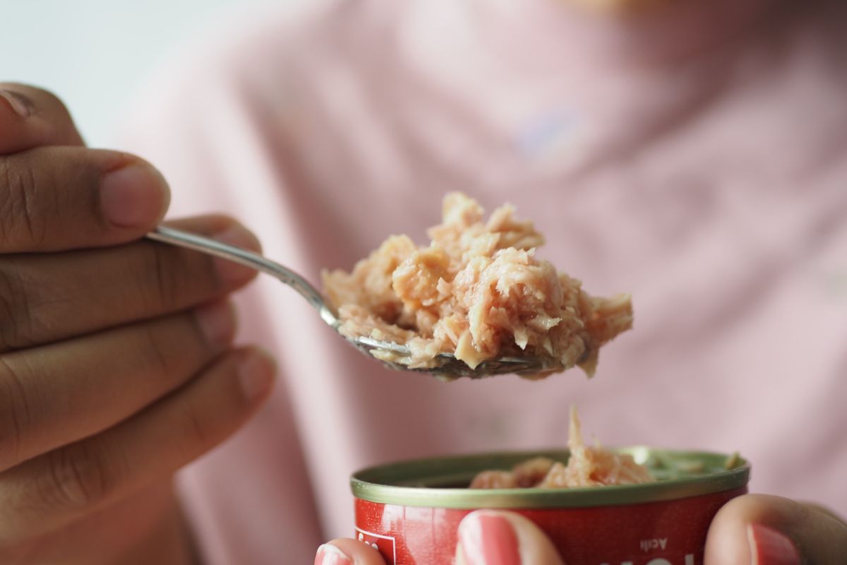 atún en lata y niveles de mercurio