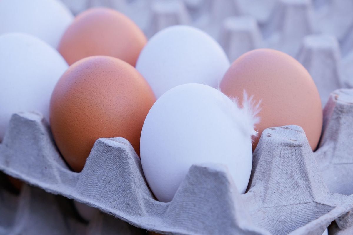 aumento de precio de los huevos