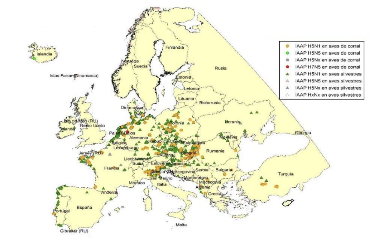 casos reportados de gripe aviar en Europa