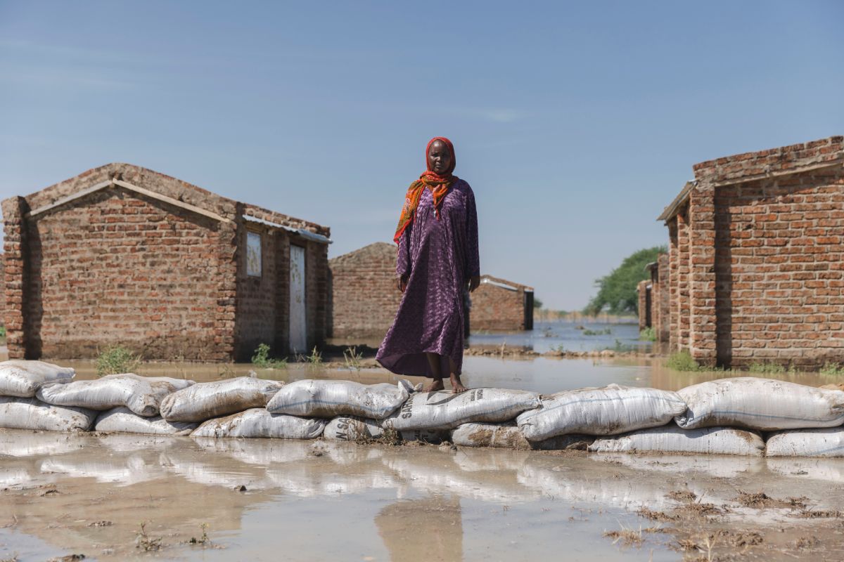 condiciones extremas del clima y refugiados
