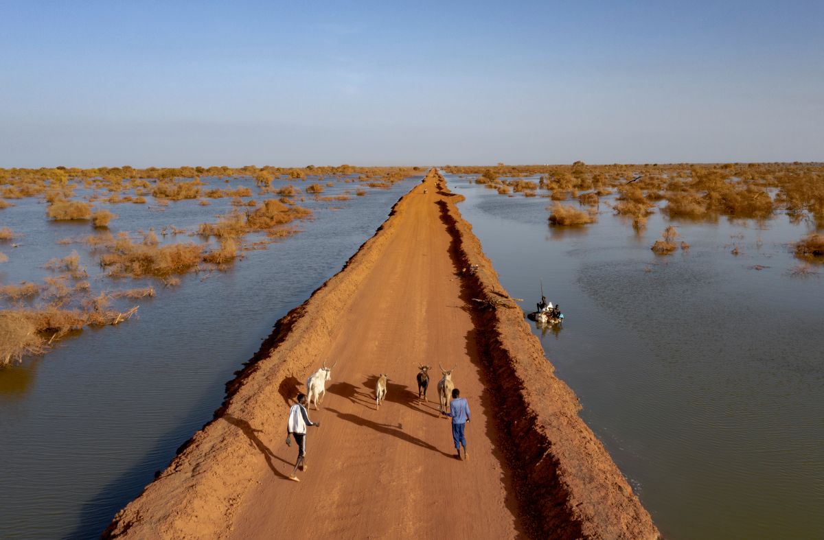 éxodo por condiciones climáticas