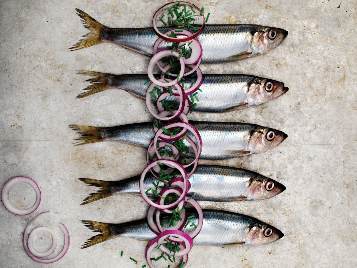 beneficios de la pesca sostenible