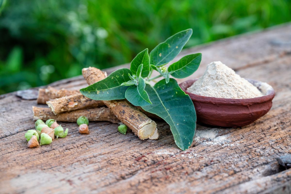 efectos adversos de la ashwagandha