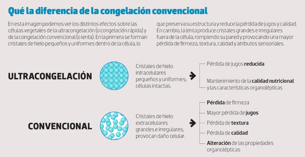 congelación vs ultracongelación