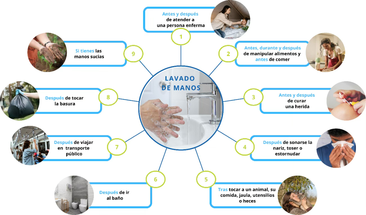 higiene de manos y prevención de infecciones