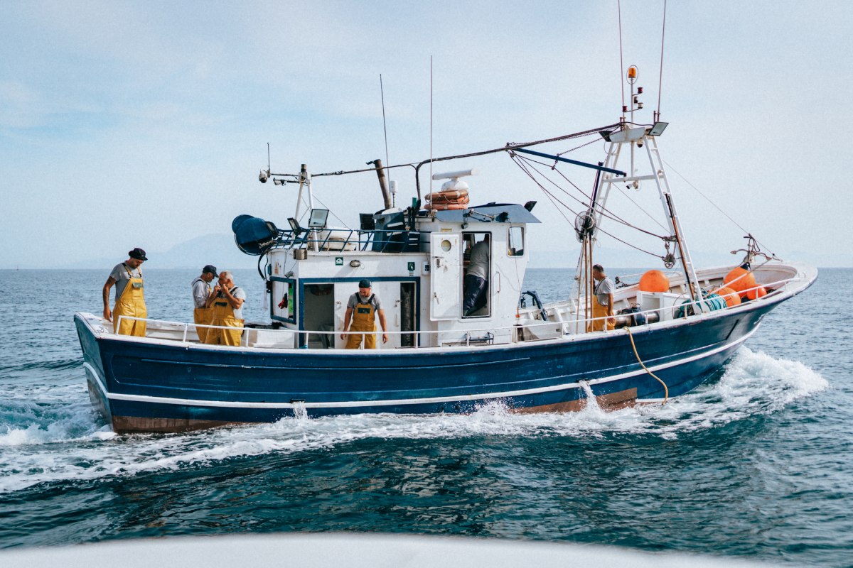 pesquería sostenible de atún rojo