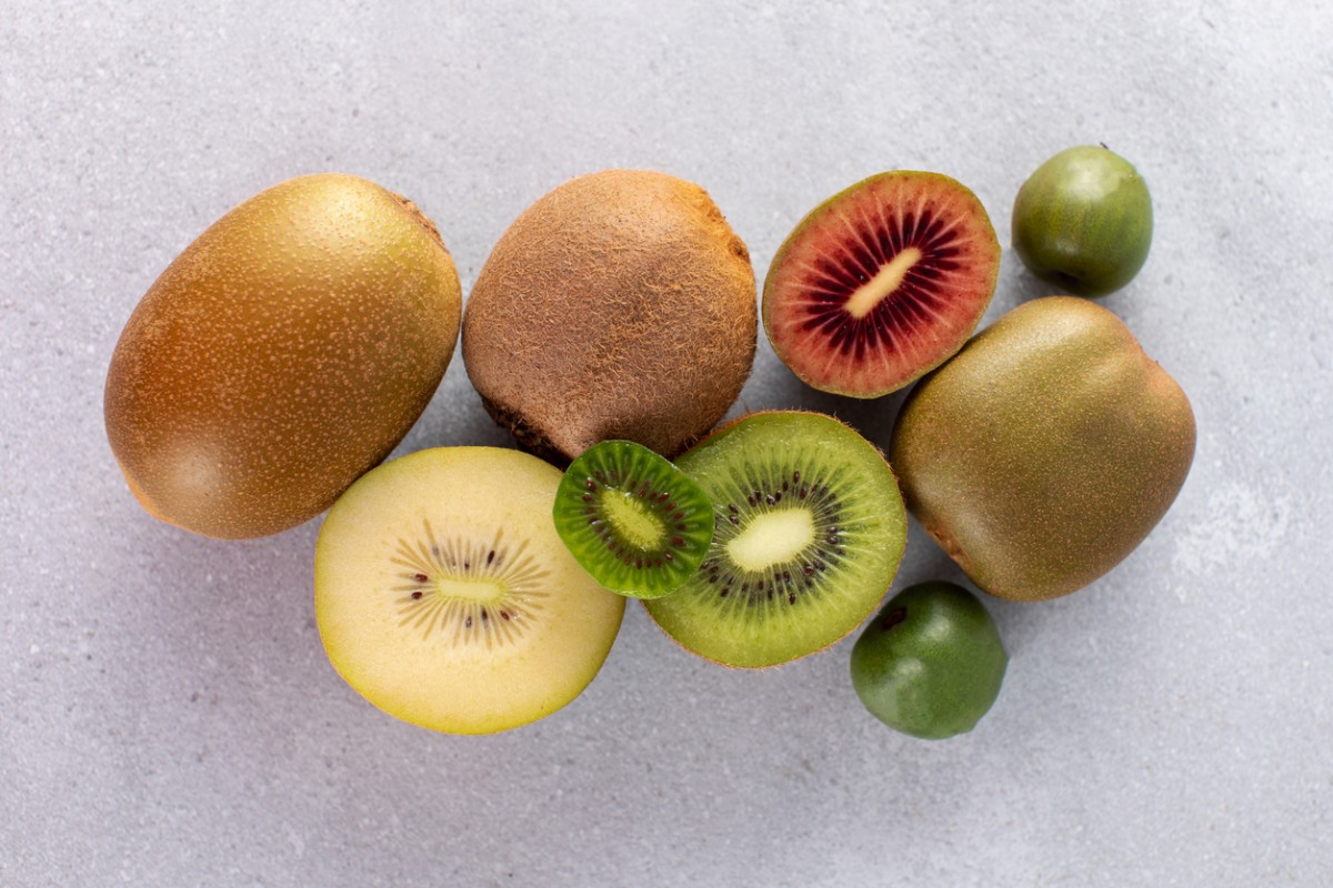 variedades de kiwi