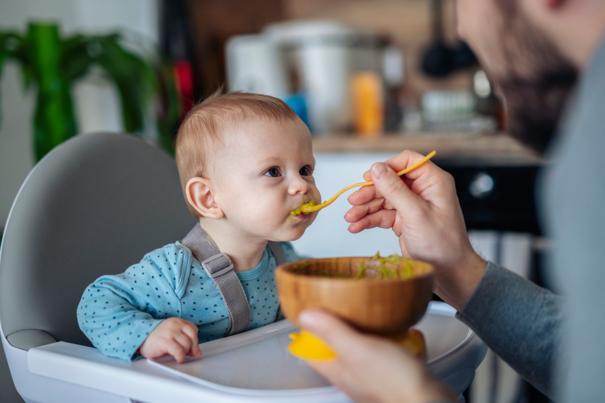 calidad nutricional de la comida infantil