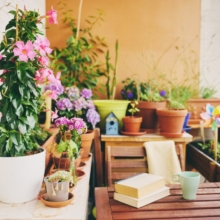 cómo hacer un oasis de mariposas en el balcón