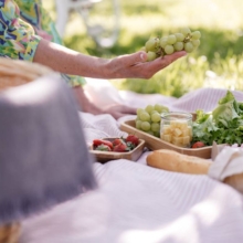 organizar picnic
