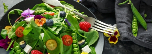 flores comestibles en primavera