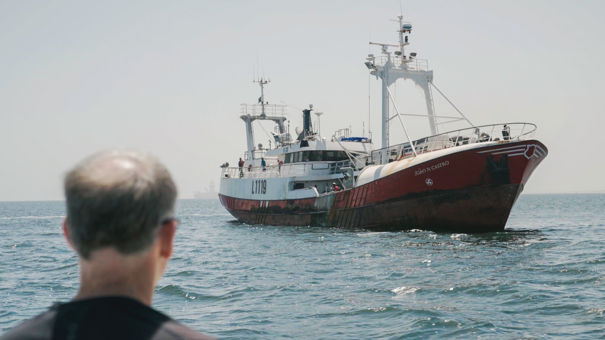 reglas para la pesca sostenible