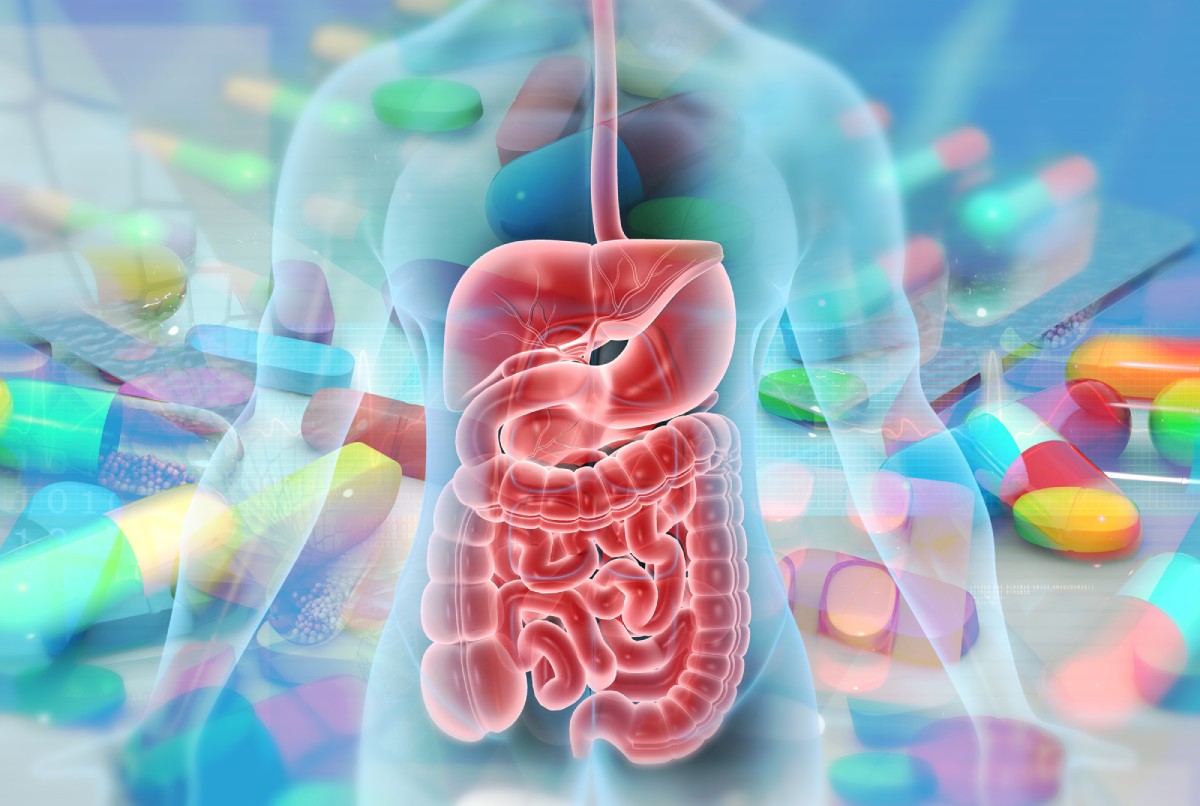 efectos de los antibióticos en la microbiota