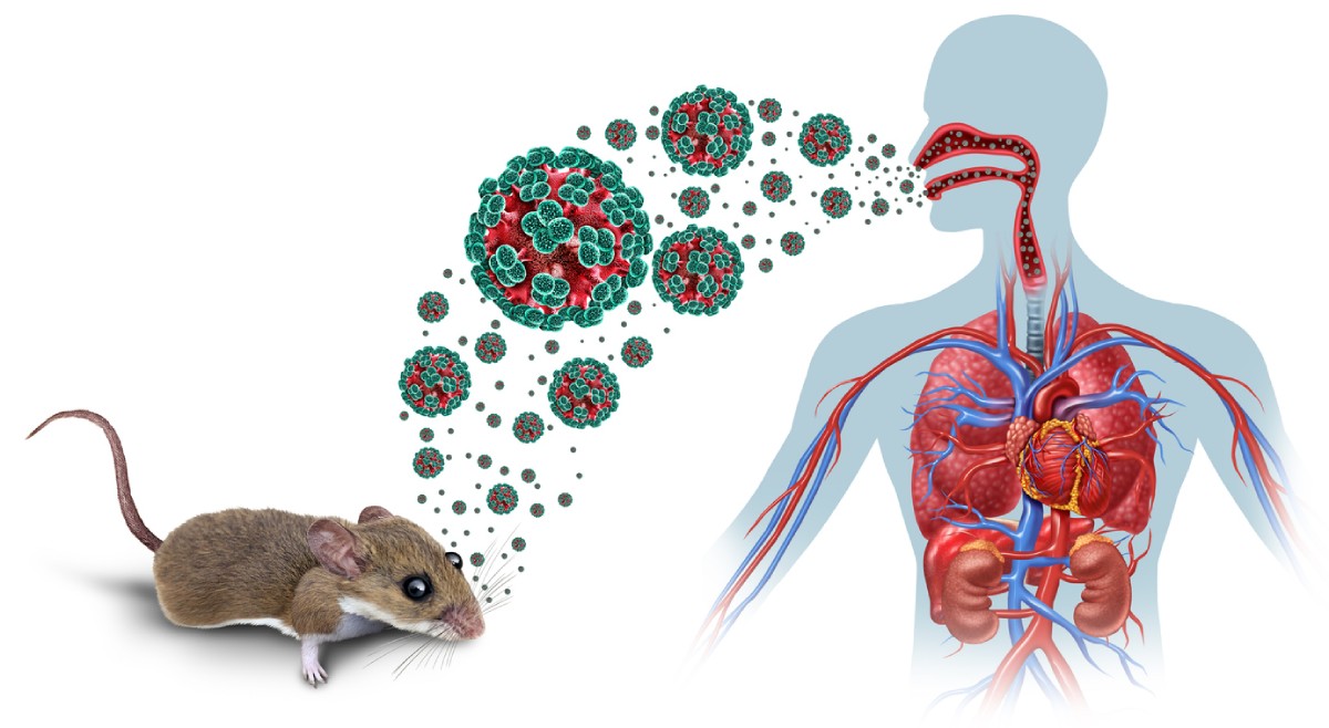 riesgo de contagio de hantavirus