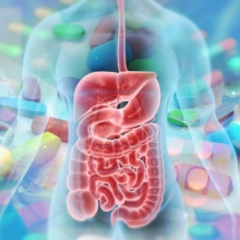 efectos de los antibióticos en la microbiota