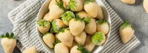 sabor de las fresas blancas