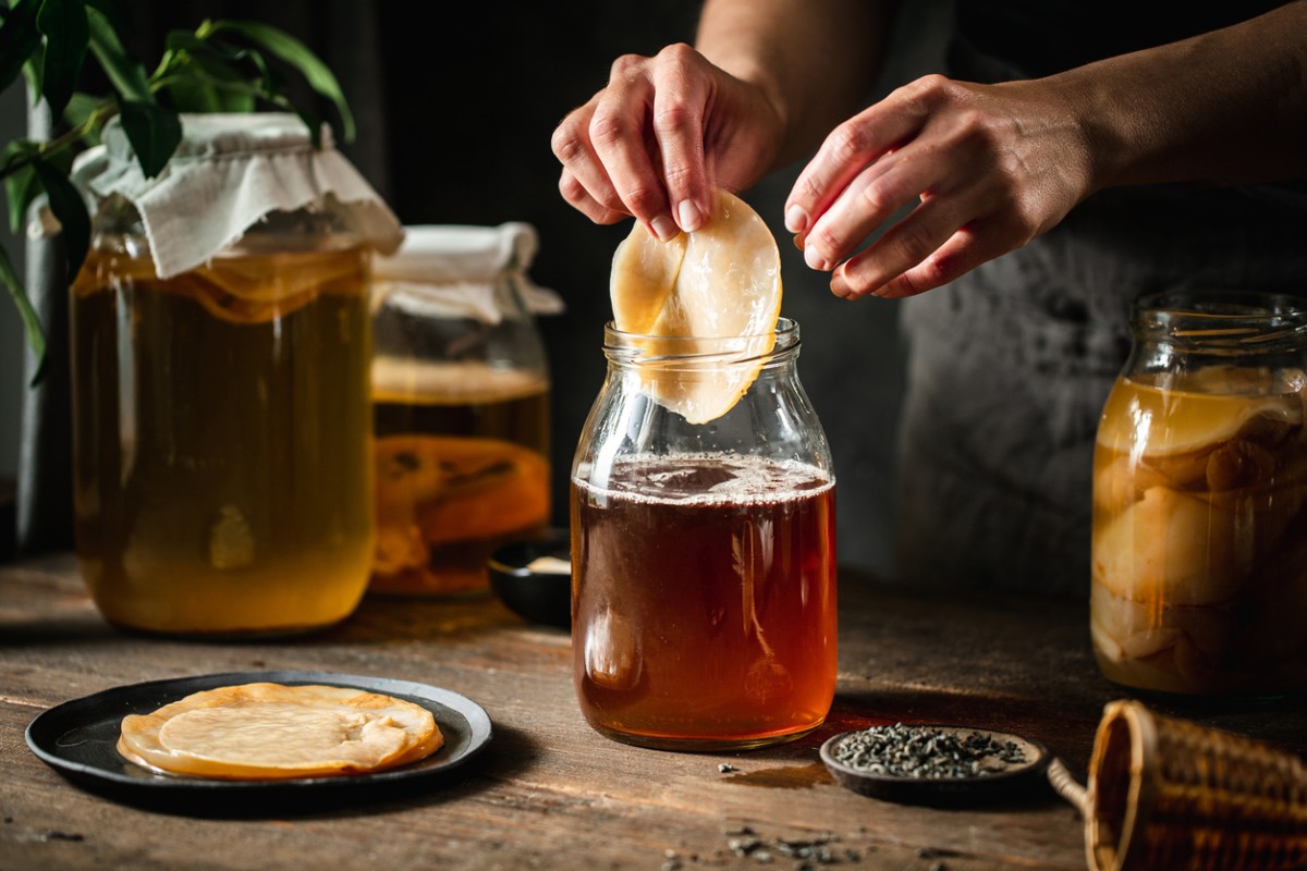 elaboración casera de la kombucha