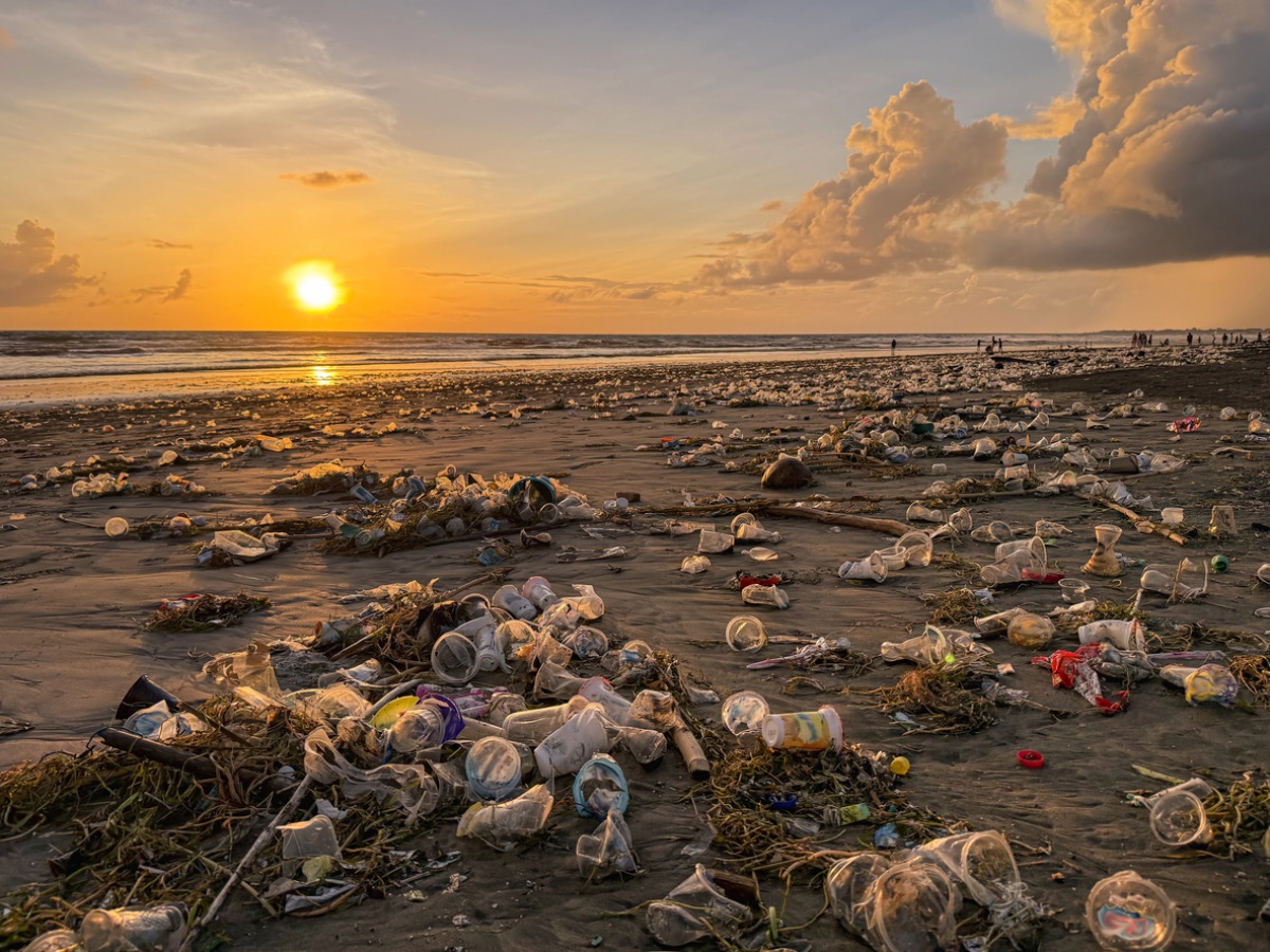 contaminación ambiental con envases de plástico