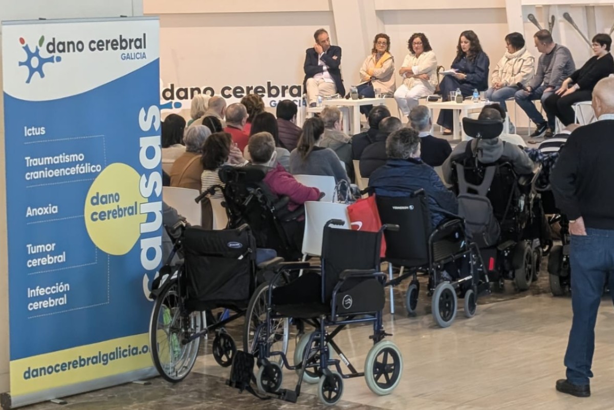 investigacion sobre daño cerebral y participación de asociaciones