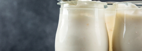 qué es el skyr