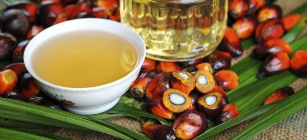 Img como evitar aceite palma hd